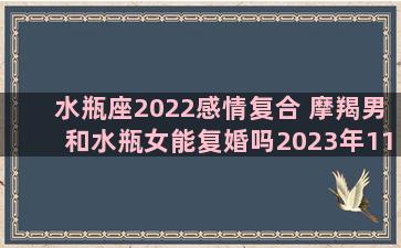 水瓶座2022感情复合 摩羯男和水瓶女能复婚吗2023年11月